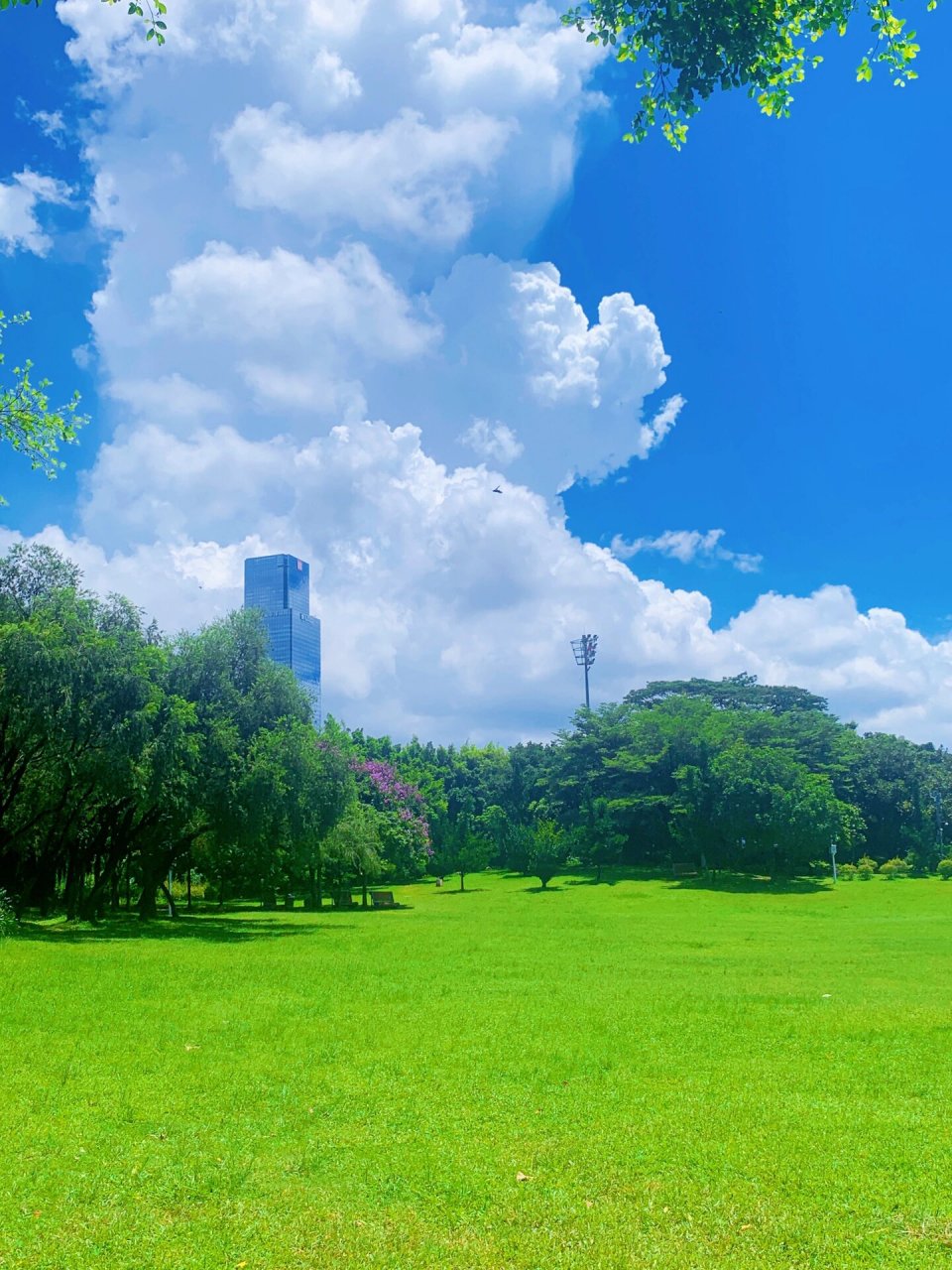 深圳网红公园必打卡景点 莲花山公园位于福田区,是深圳十峰里最