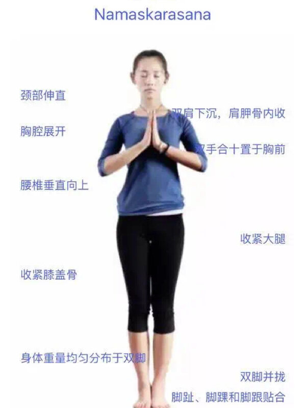 瑜伽体式:祈祷式 1, 引导词: 山式站姿准备; 双手胸前合十,小手臂端平