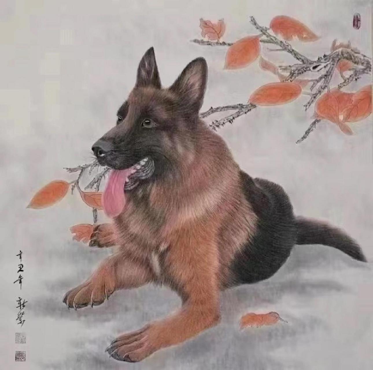 牧羊犬系列 马新荣老师牧羊犬系列作品