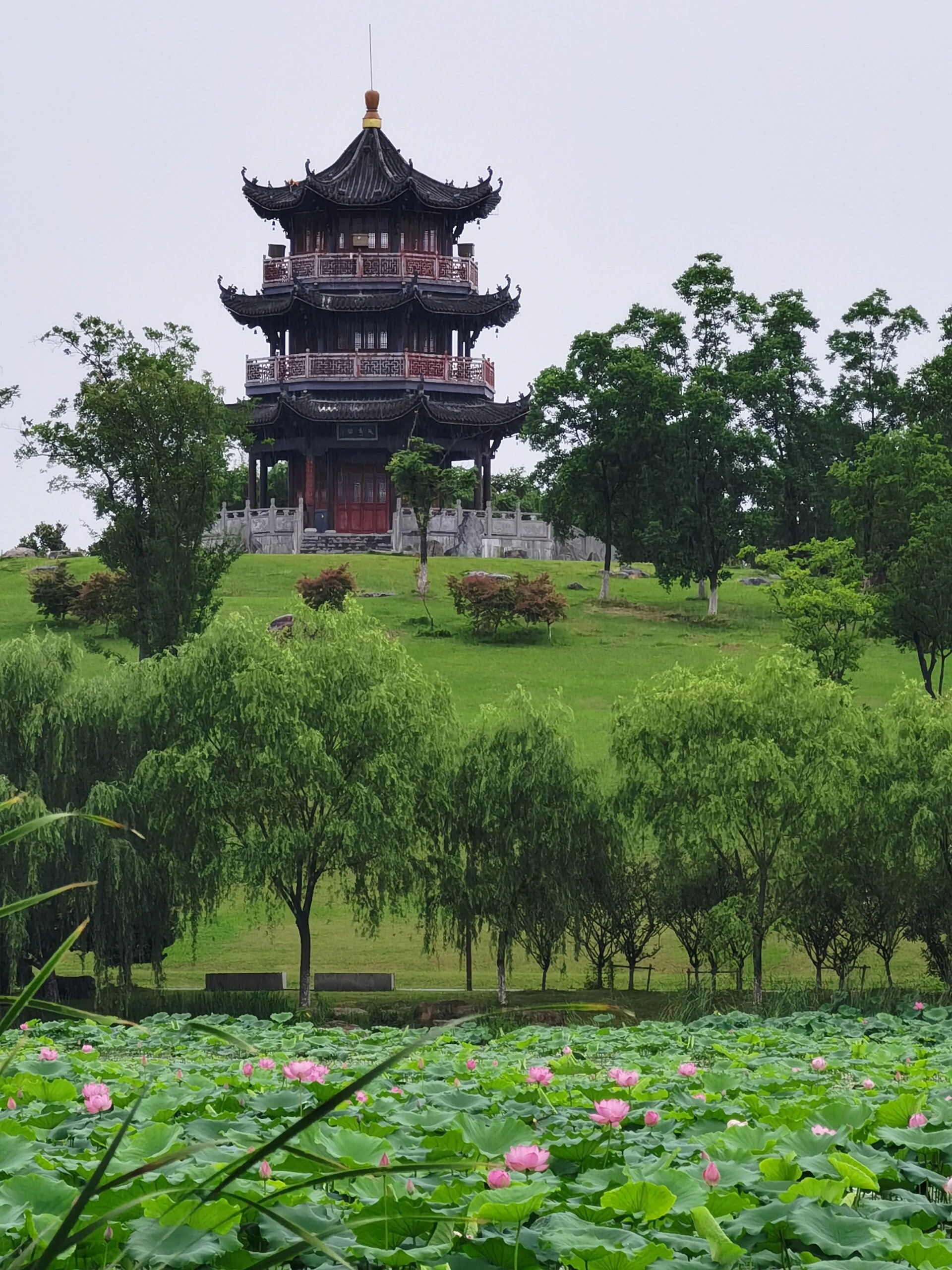 🔓 解锁青阳芙蓉湖公园