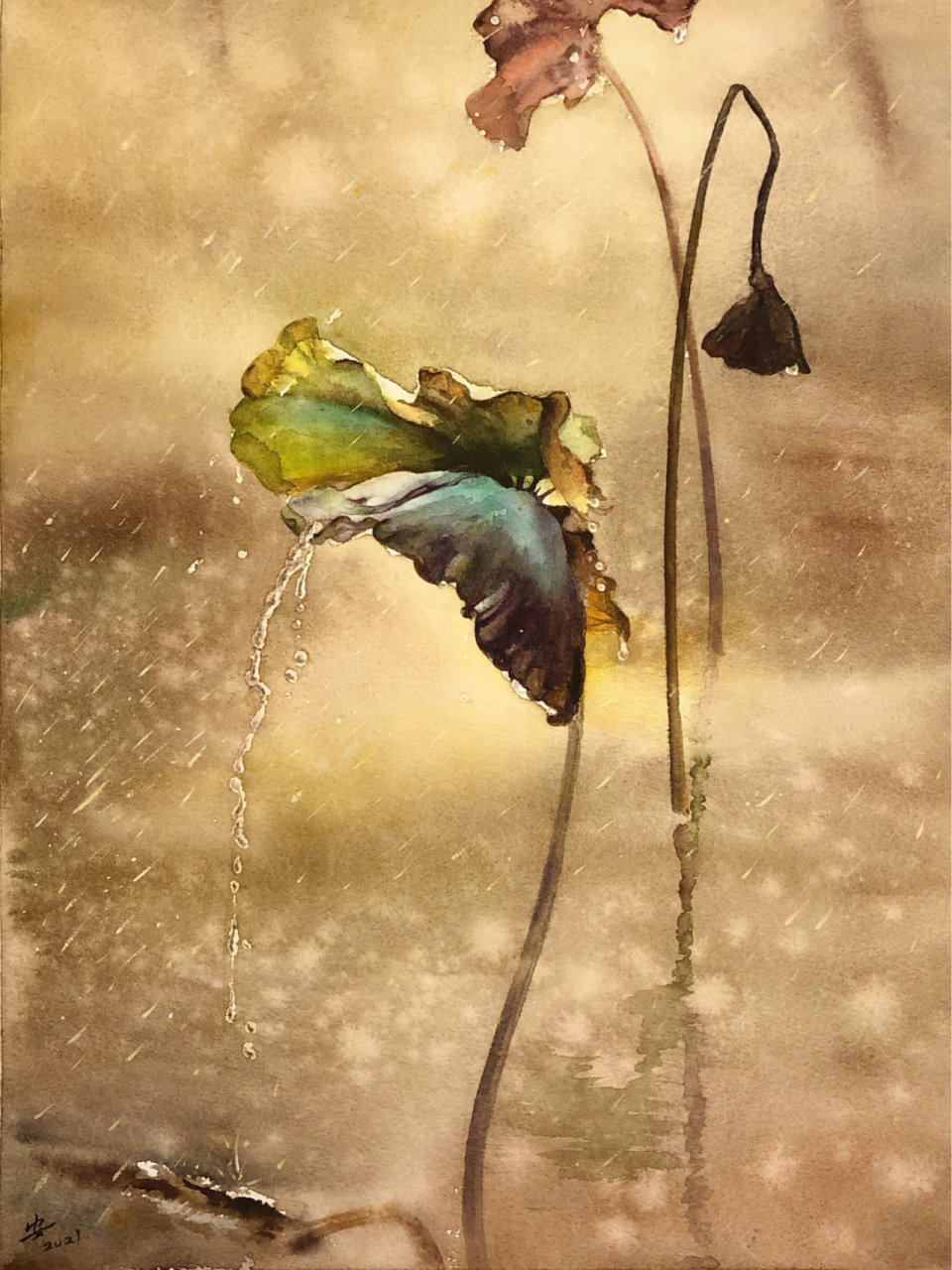 水彩画——残荷听雨