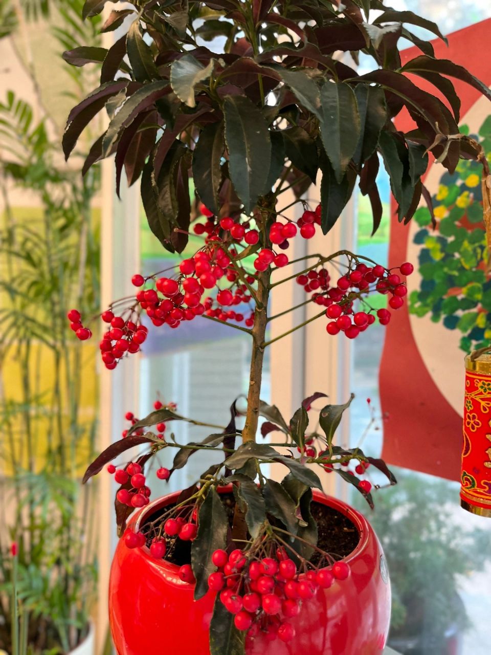 朱砂根又叫黄金万两 朱砂根又叫黄金万两,金玉满堂,因此它的花语为