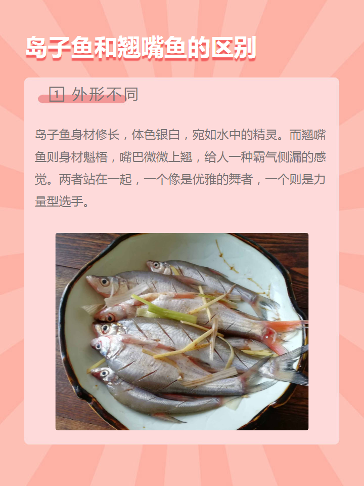 岛子鱼和翘嘴鱼的区别