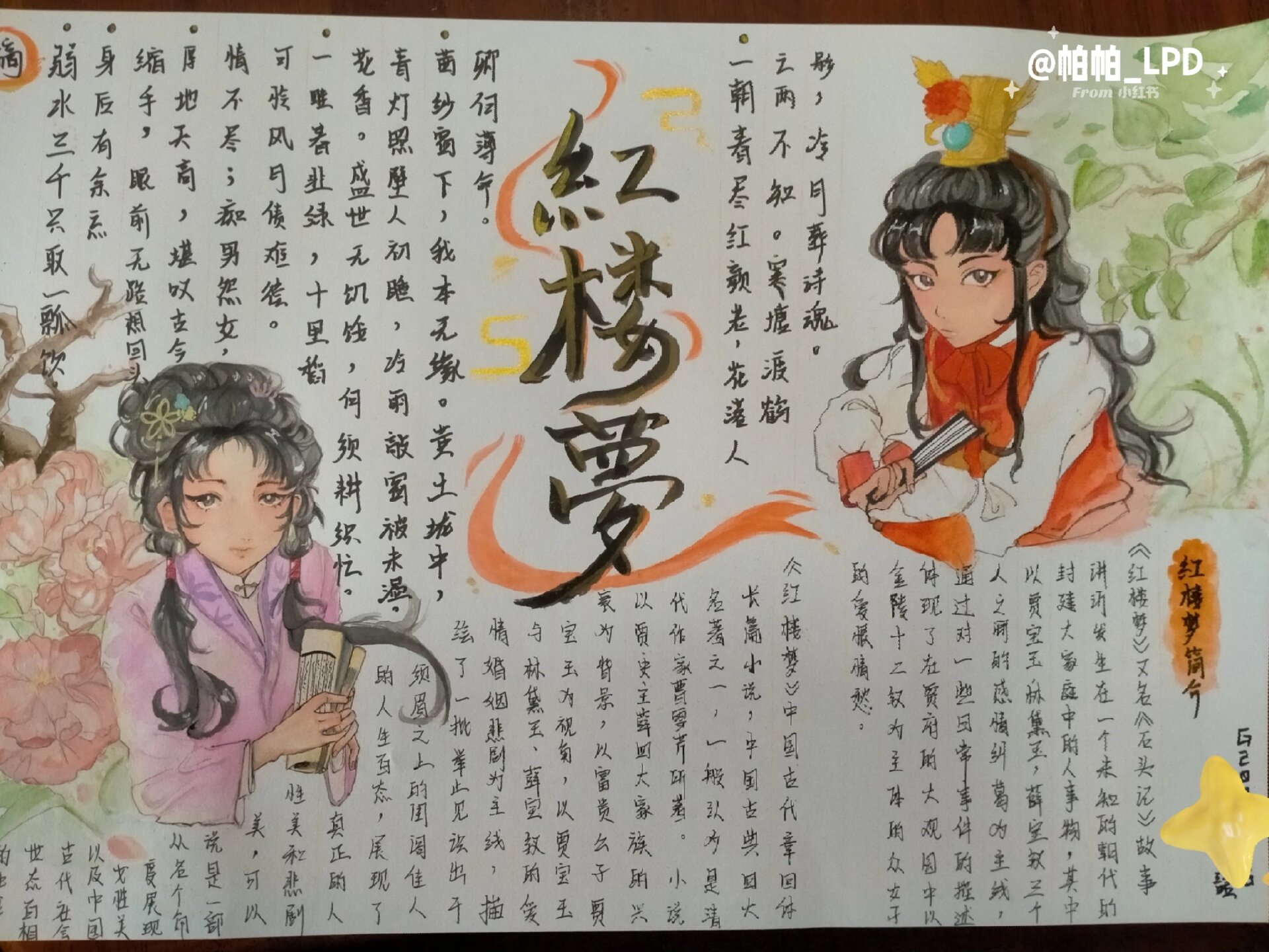 红楼梦手抄报