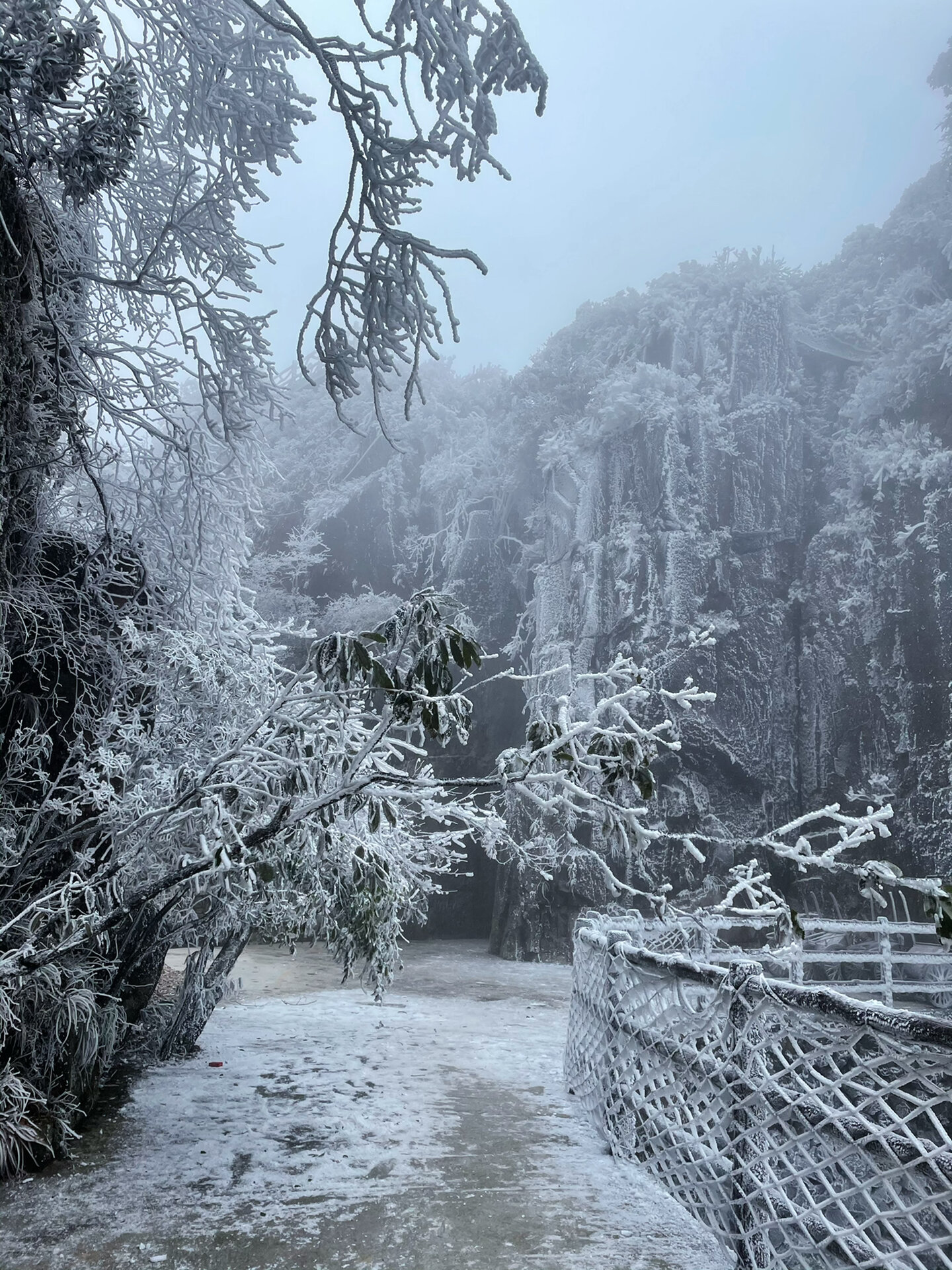 王莽岭雪景图片