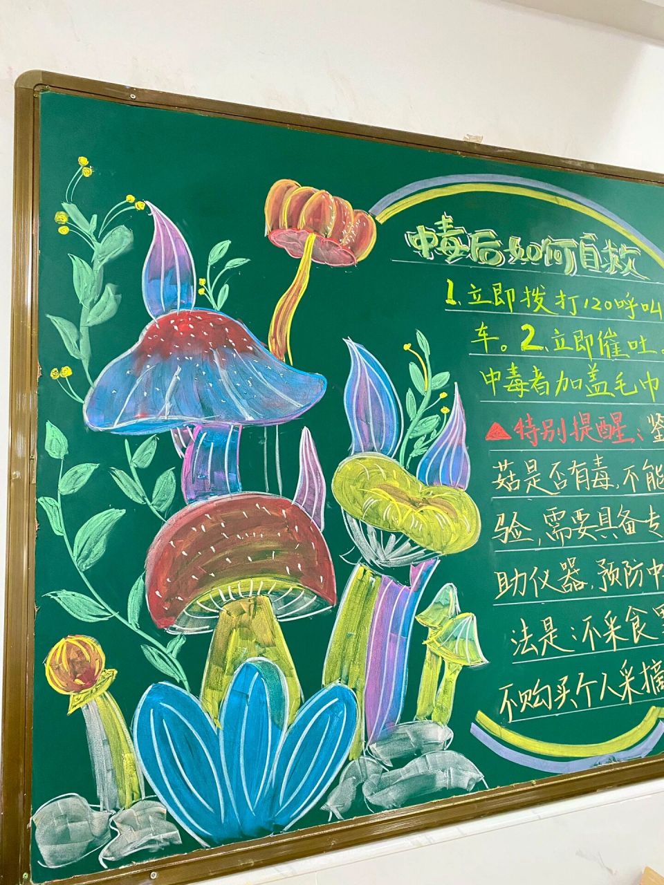 预防野生蘑菇黑板报 找了半天没有贴切的合适的板报可以抄(难过 没