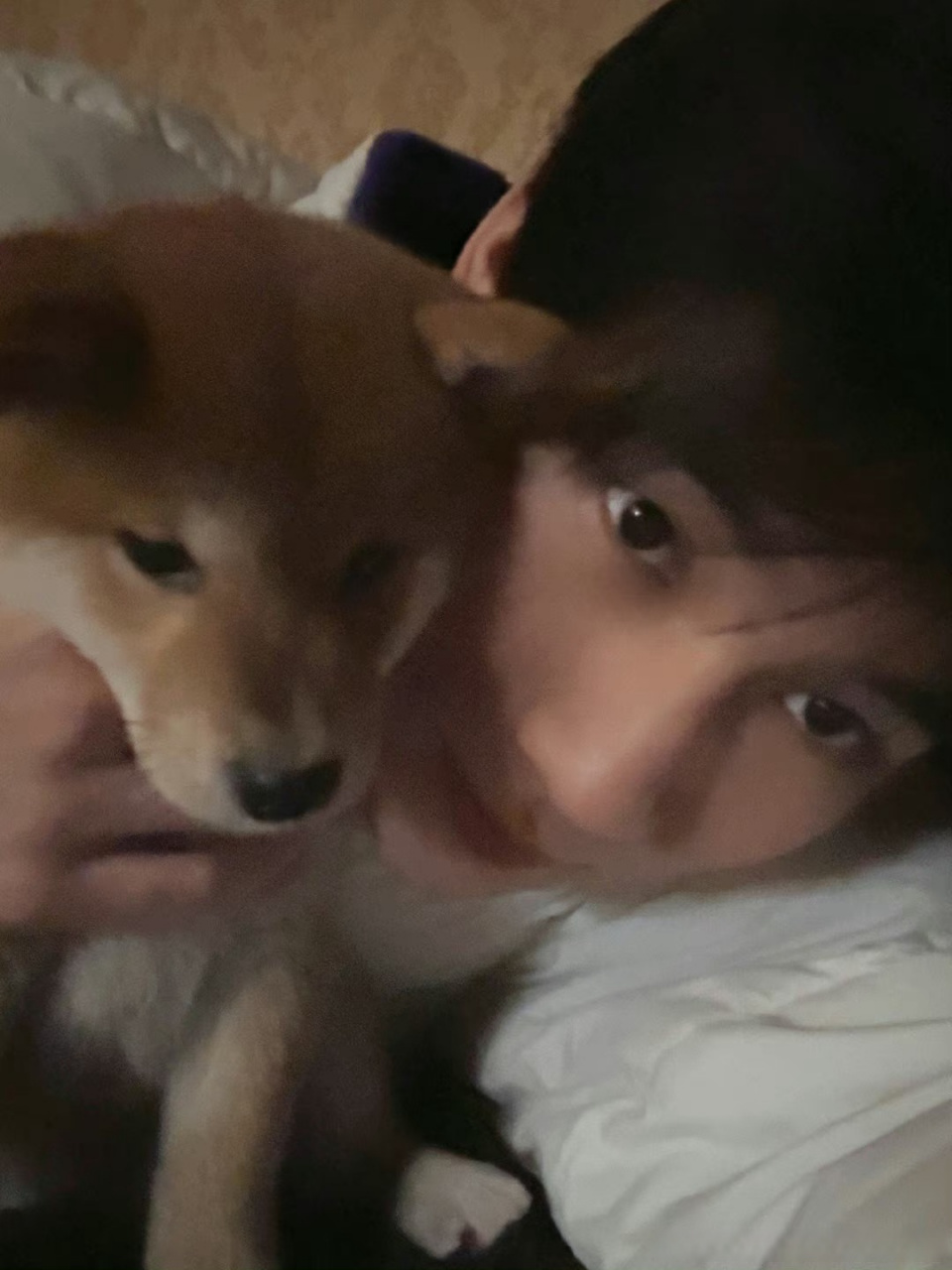 张真源有狗了# 没人觉得很惊喜吗那样湿漉漉的眼睛和那么小一只小黄