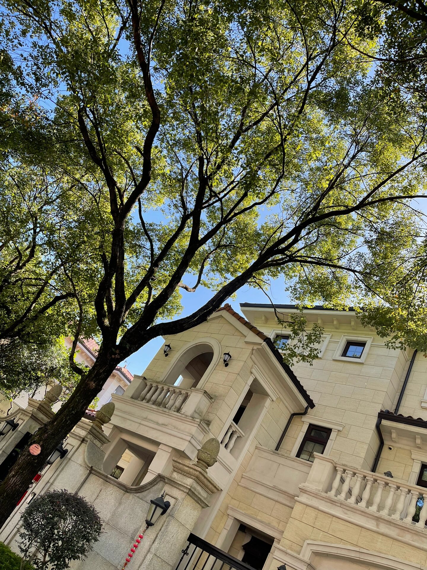 福州·百督府别墅工地行,秉持热爱,奔赴美好