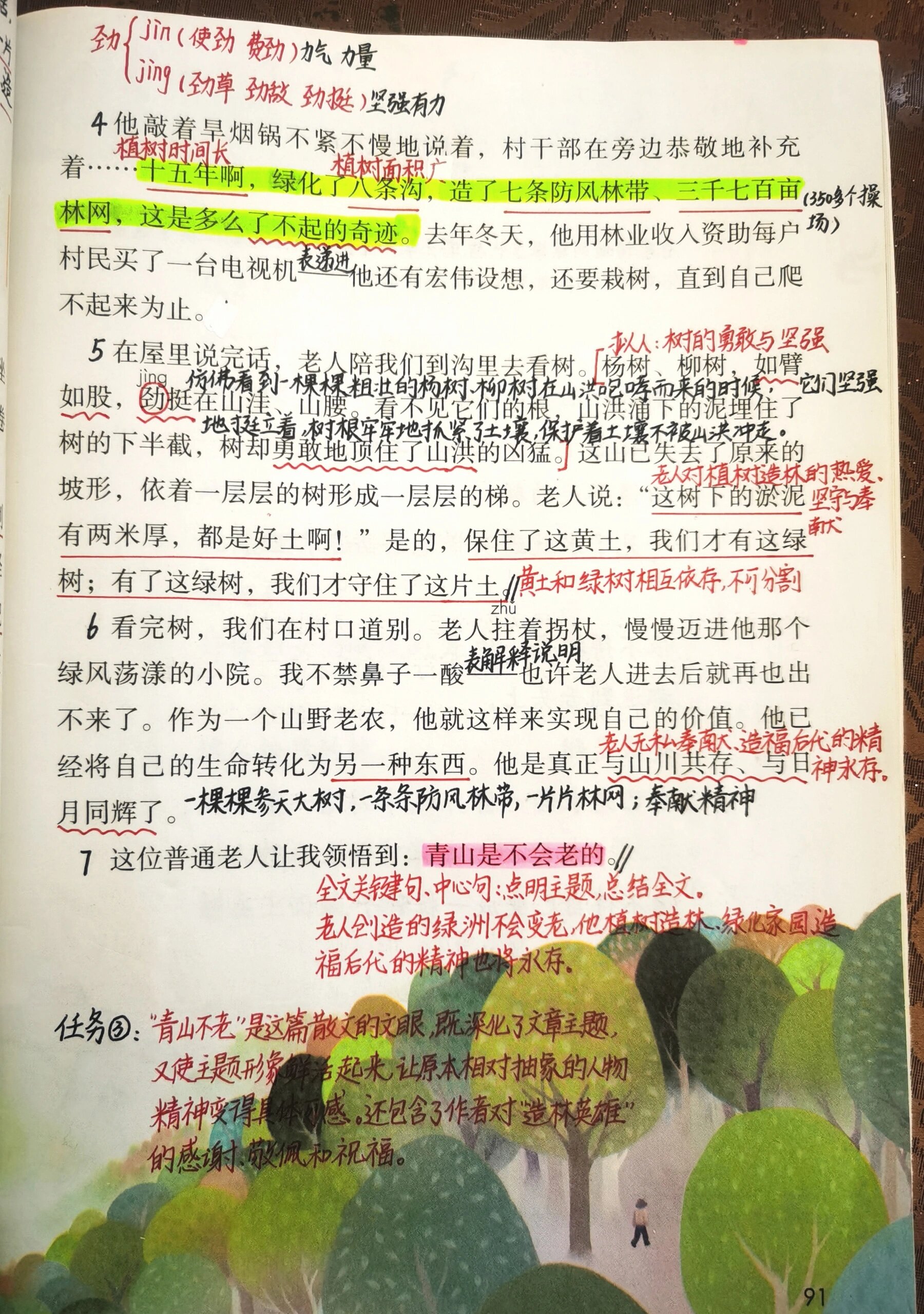 19课青山不老课堂笔记图片