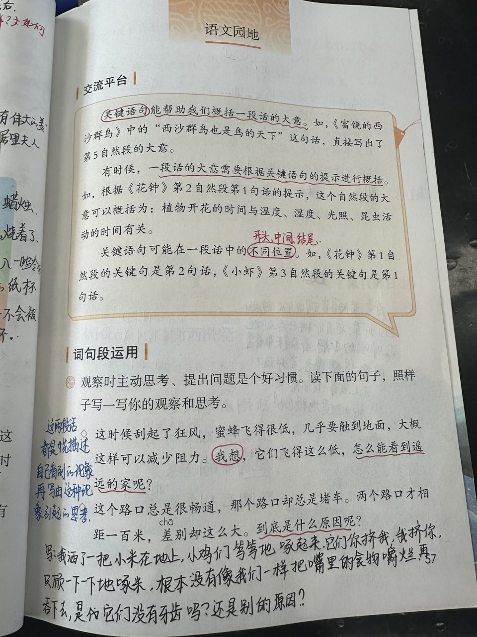 三下语文园地四 习作的备课笔记 三下语文园地四 习作《我做了一项小