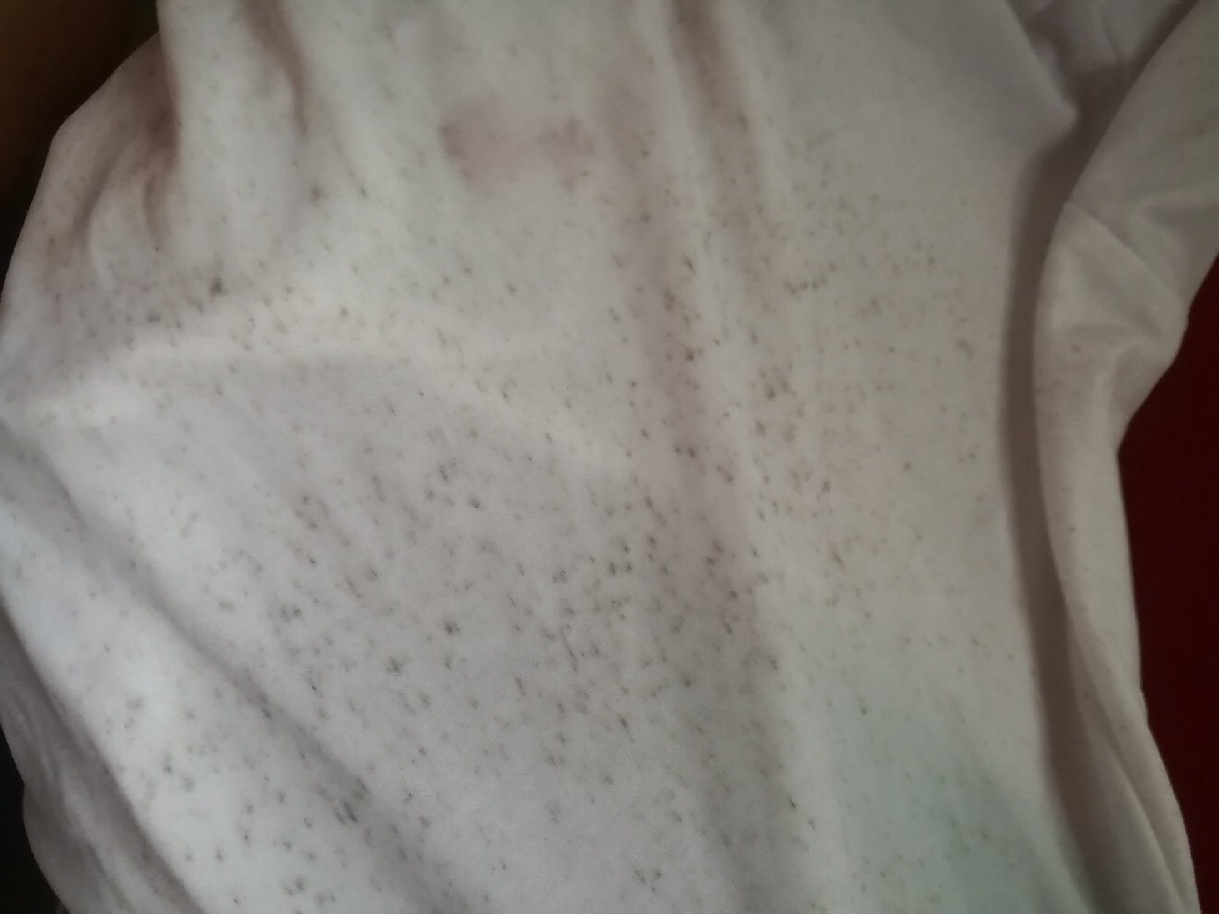 校服上的霉点超级多,在学校穿好尴尬,拿回家漂结果漂不掉.