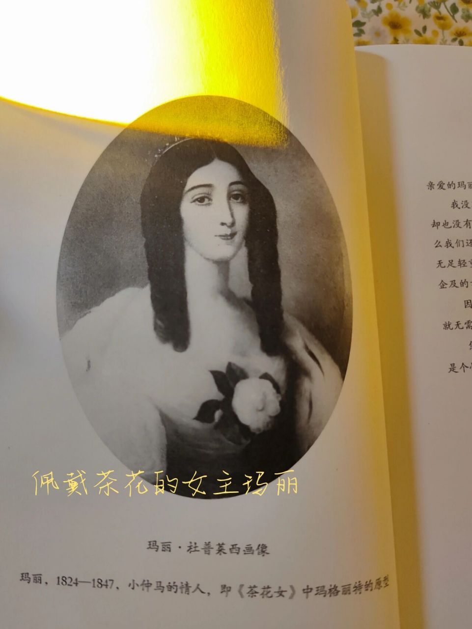 读书分享|纯贞"妓女"的爱情故事,我哭了 书名:《茶花女》 作者:小仲马