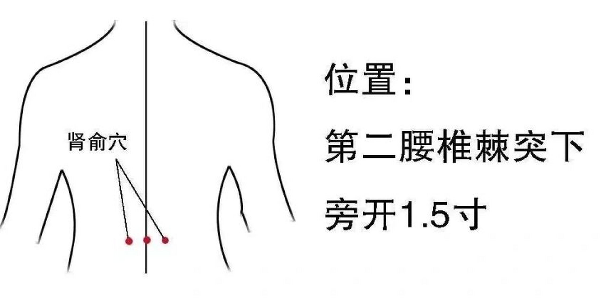 少阴俞的准确位置图片图片