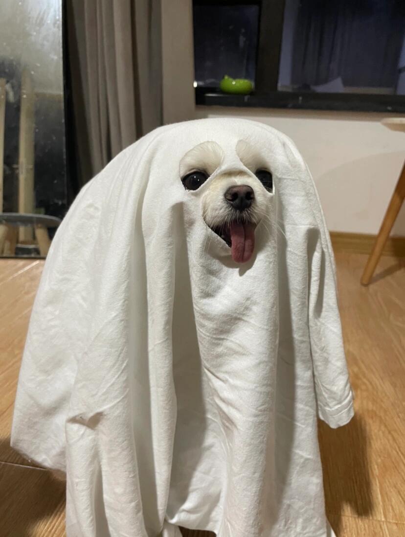 吊死鬼本鬼