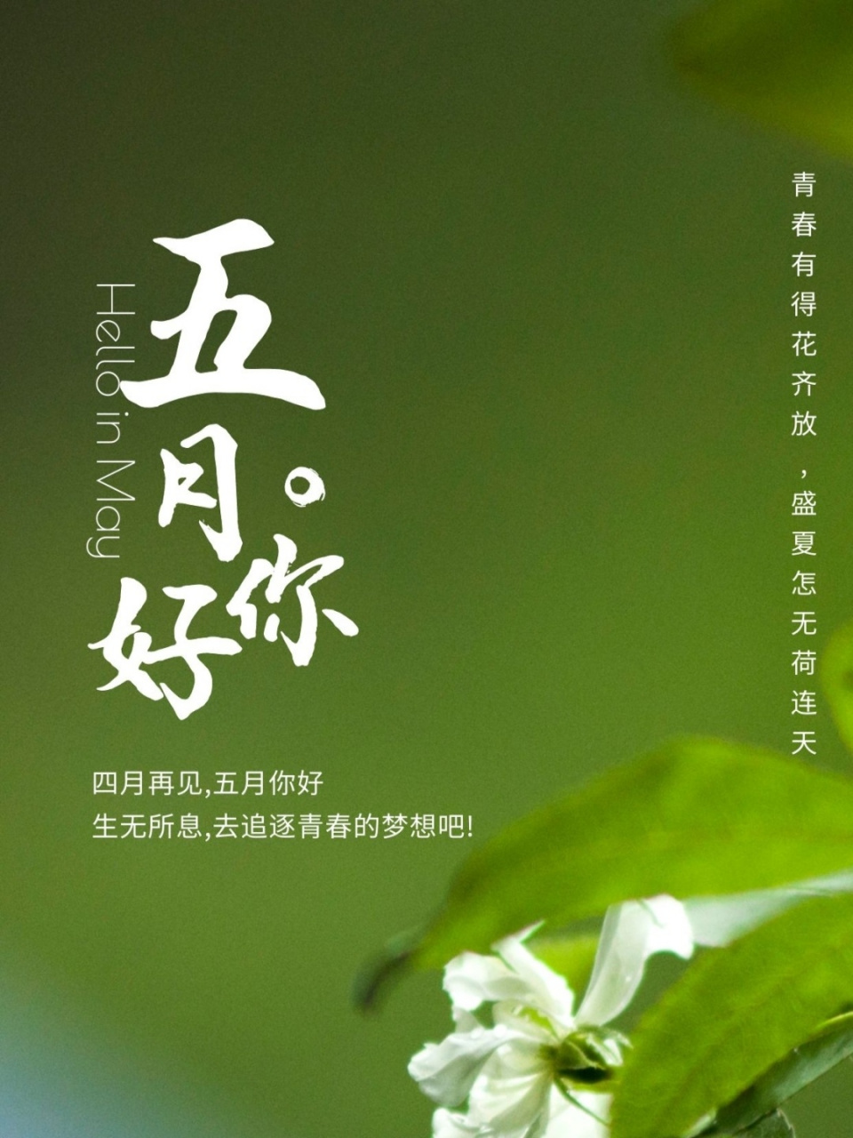 (唯美图片 四月再见五月你好的朋友圈文案 五月你好的唯美句子暖心