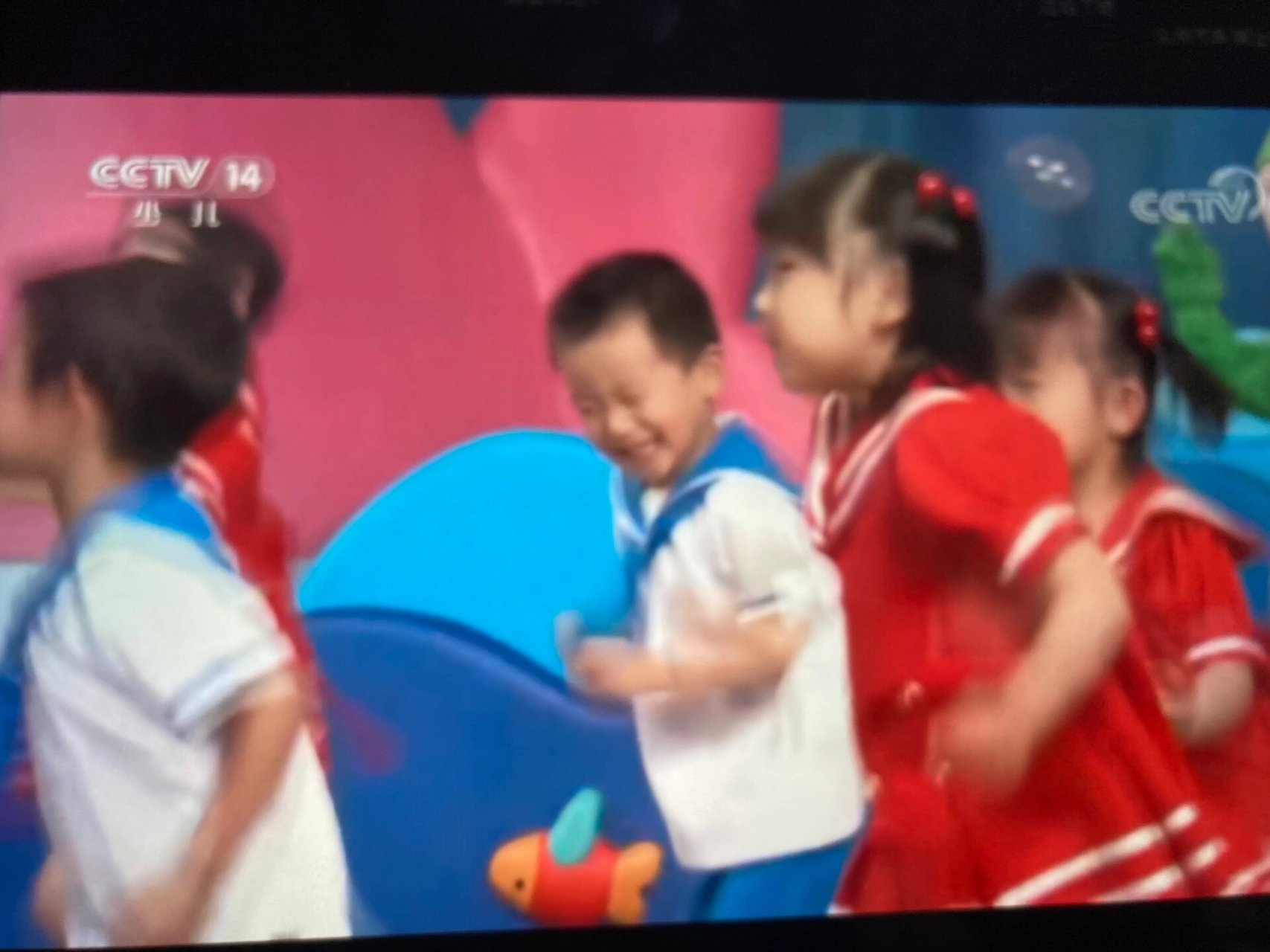 有谁上过智慧树这个节目吗 小时候真的好羡慕电视机里的小朋友可以和