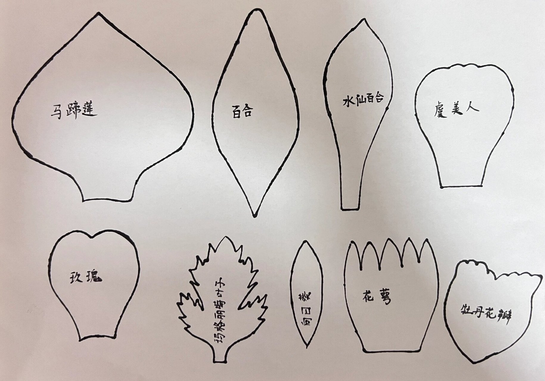 分享一些皱纸花模板 玫瑰百合郁金香向日葵 给大家分享一些手画模板