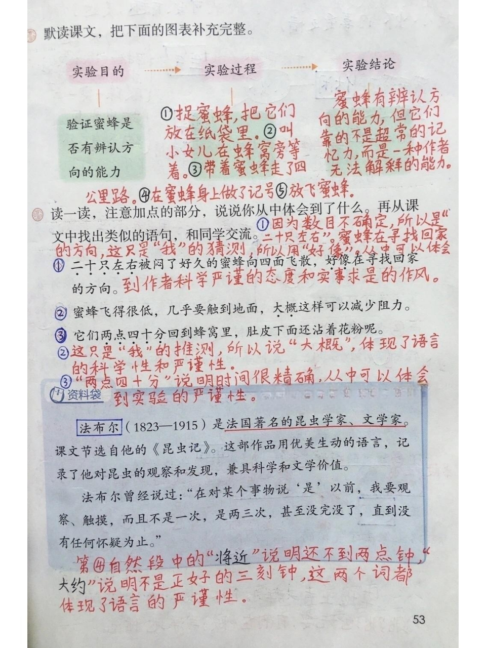 蜜蜂》笔记    93