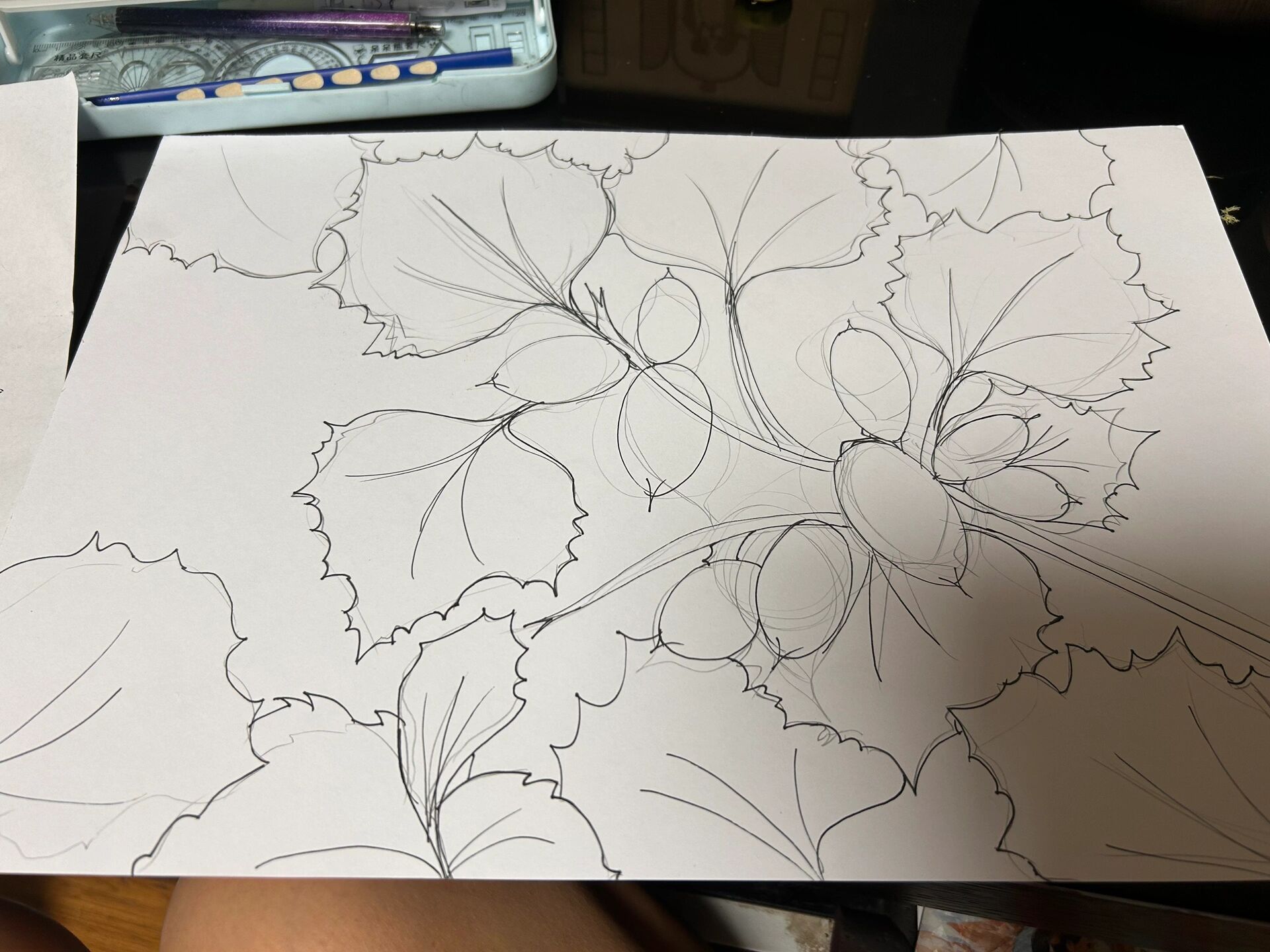 苍耳(马克笔手绘) 孩子二年级上册,语文课文《植物妈妈有办法》里描述