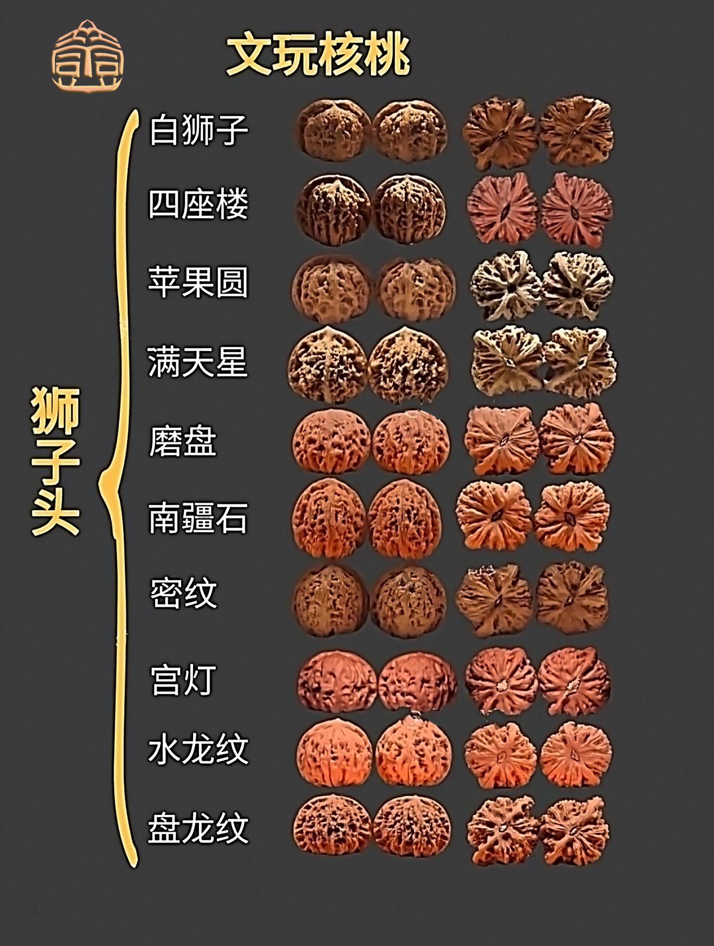 绣球狮子头核桃的特点图片