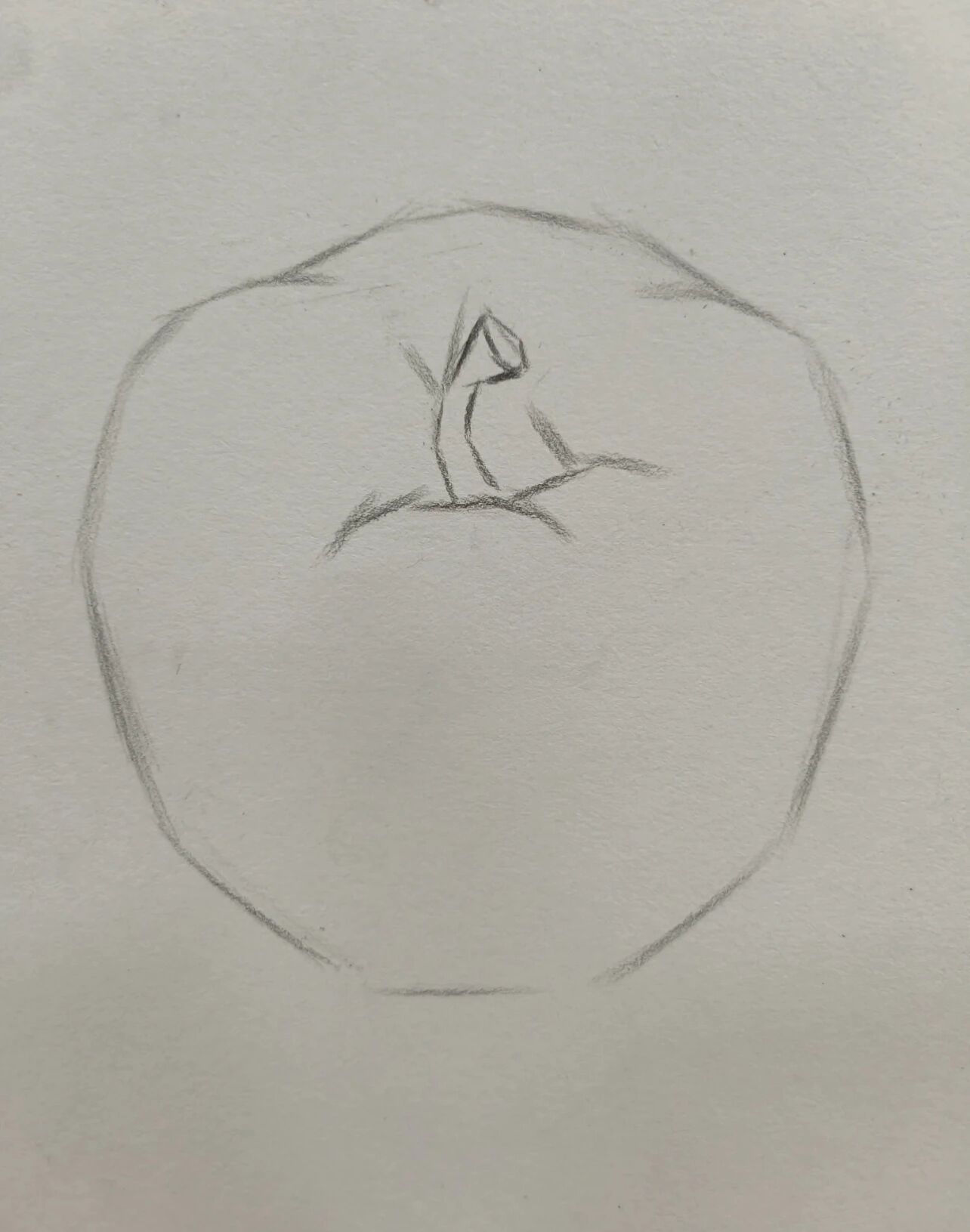 静物素描苹果