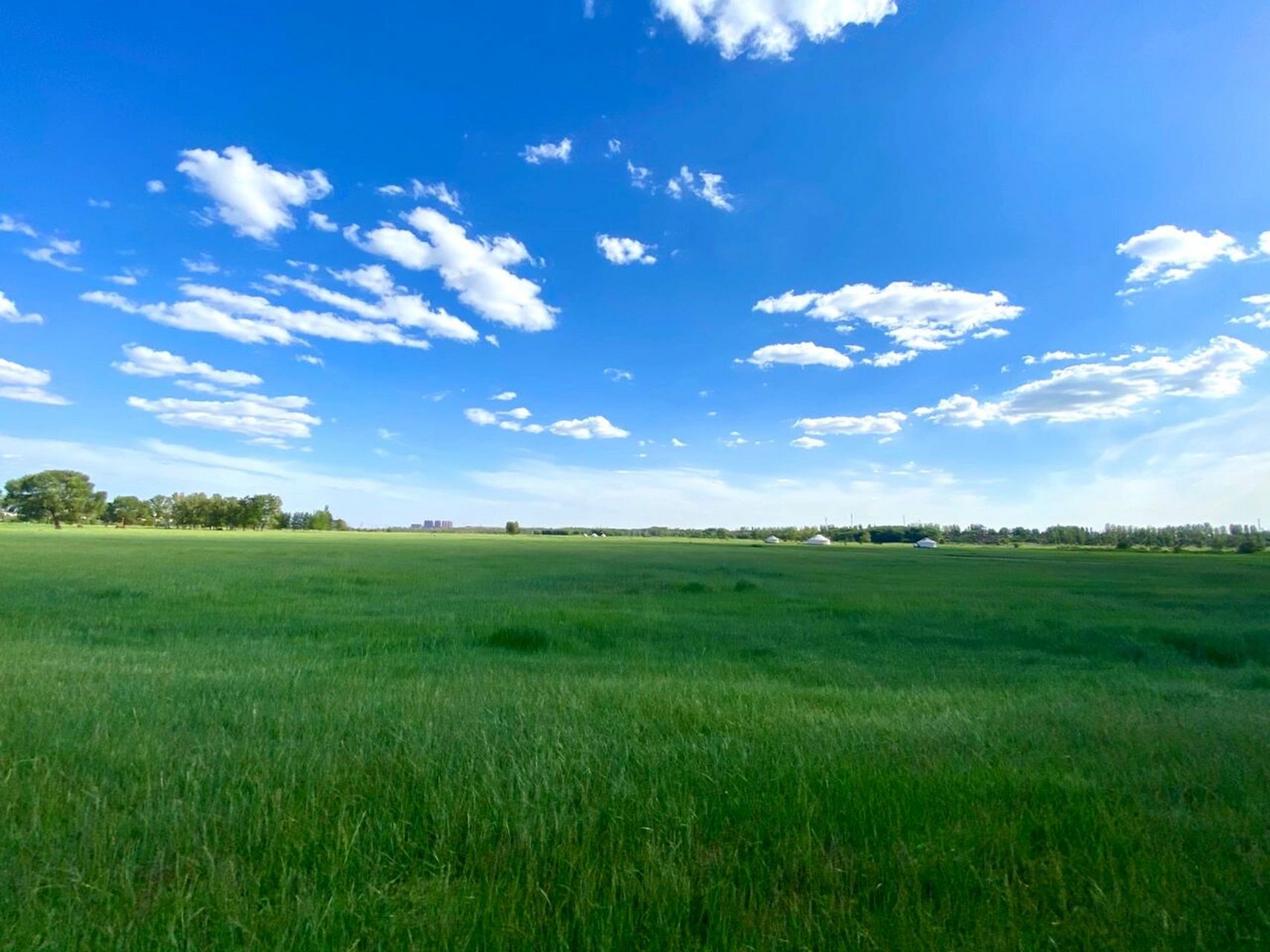旅行|包头-赛汗塔拉城中草原 全亚洲最大的城中湿地草原 园中有各种