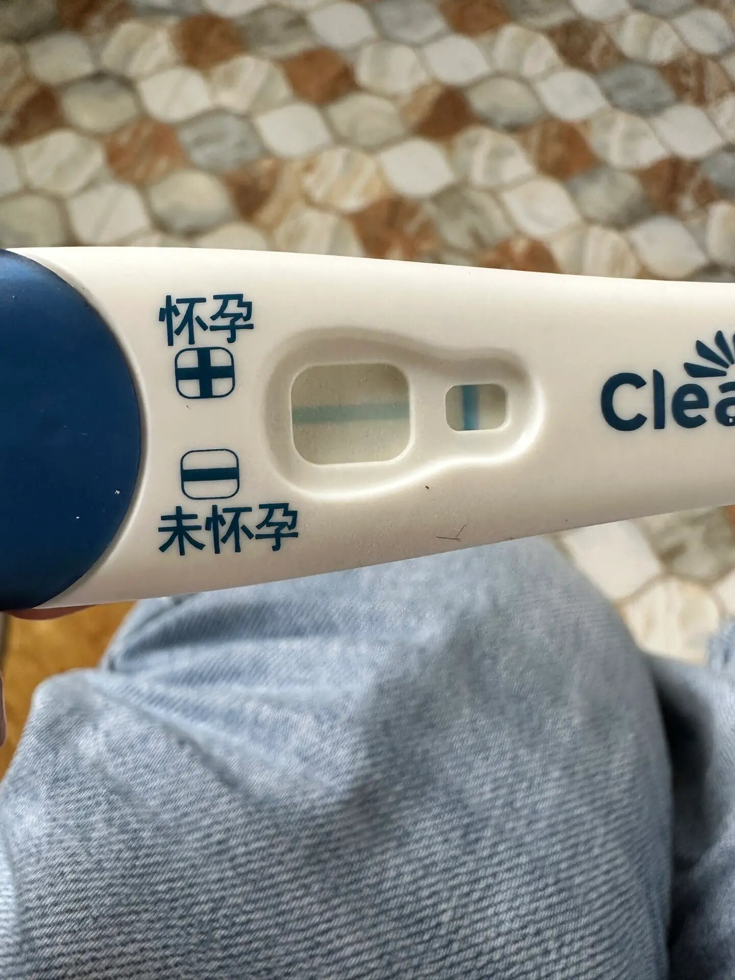 可丽蓝 不知道这是怀孕还是没怀孕啊