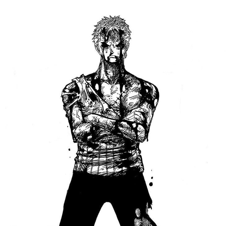 海贼王‖一些索隆黑白原漫