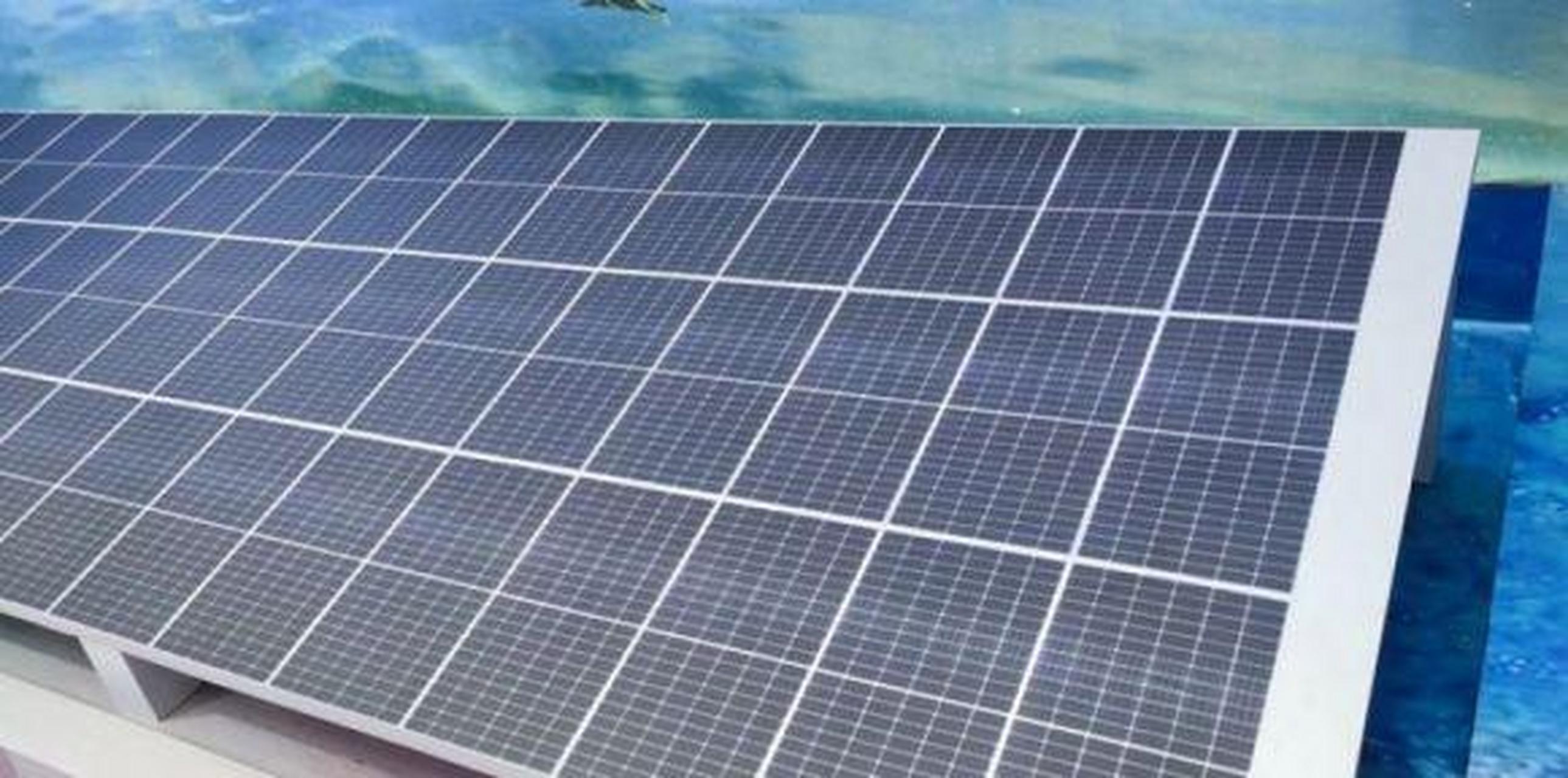 【搭乘钙钛矿概念股东风,金晶科技四连板后再涨停】钙钛矿概念再"发威