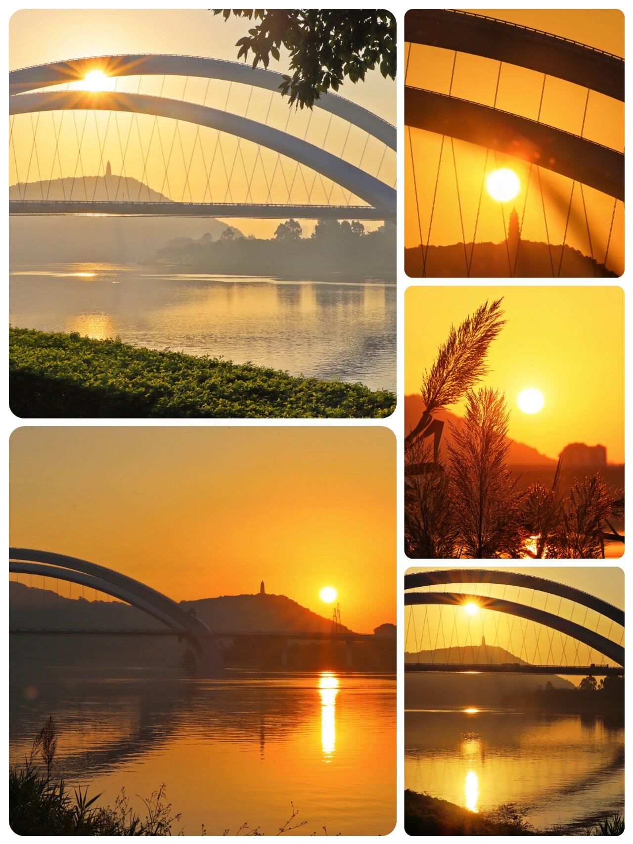 1005南宁大桥观日出