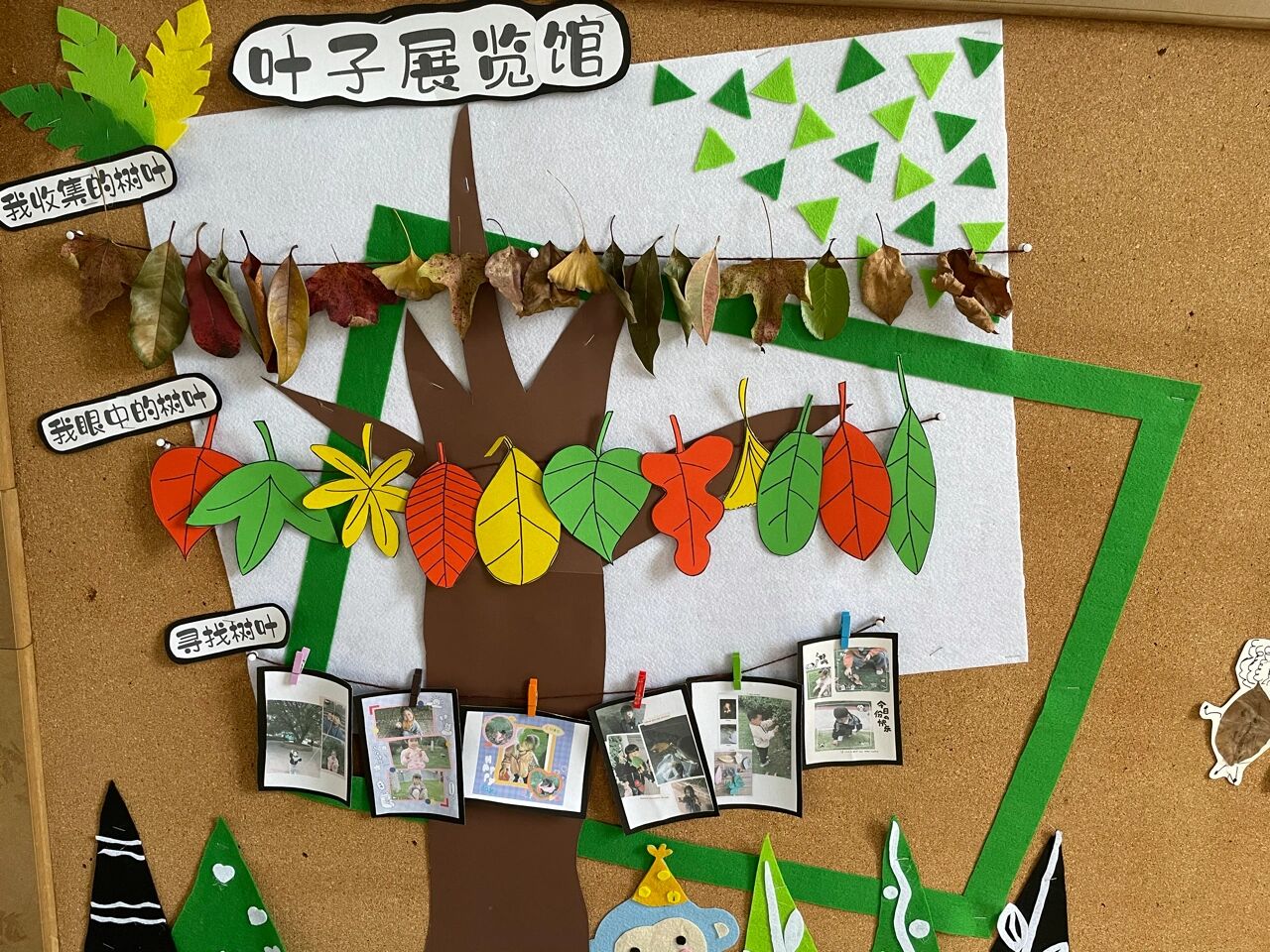 中班树叶飘飘主题墙2 叶子的秘密 叶子展览会 美丽的叶脉#幼儿园秋天
