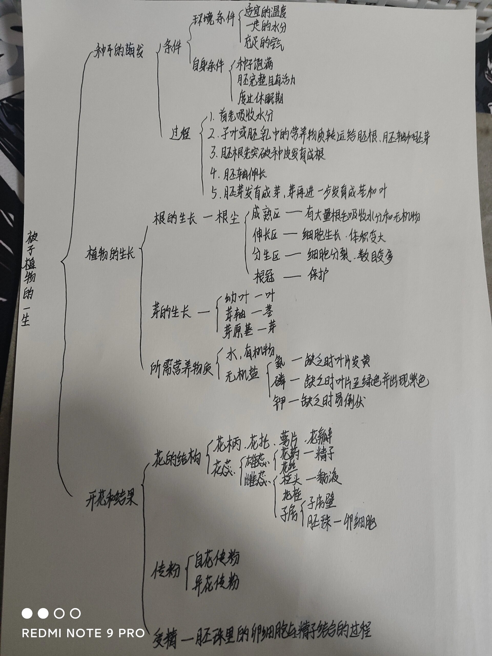 被子植物的一生思维导图