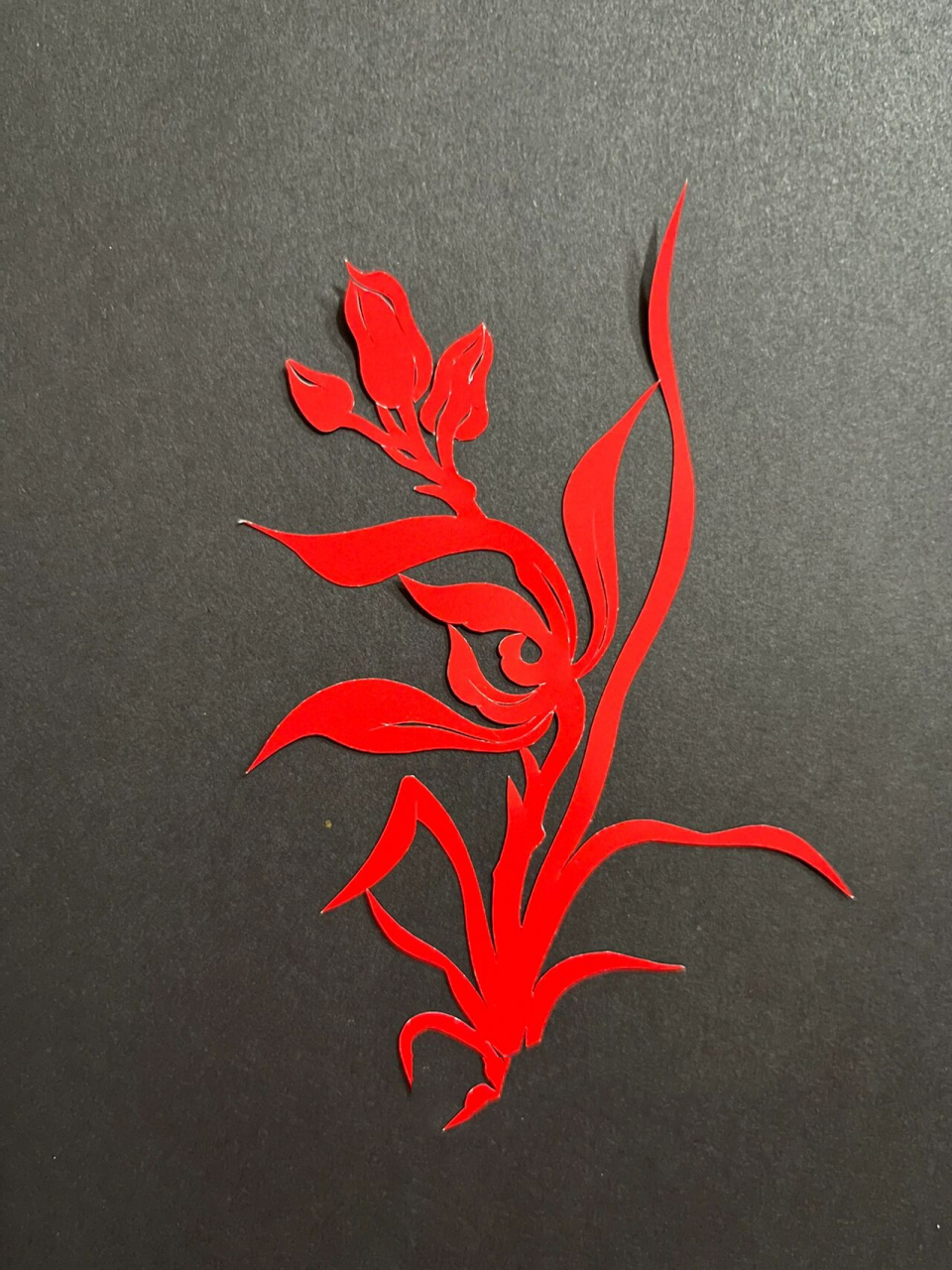 每日一剪(脱稿剪纸绝技)—简版梅兰竹菊 简版梅兰竹菊,适合初学者