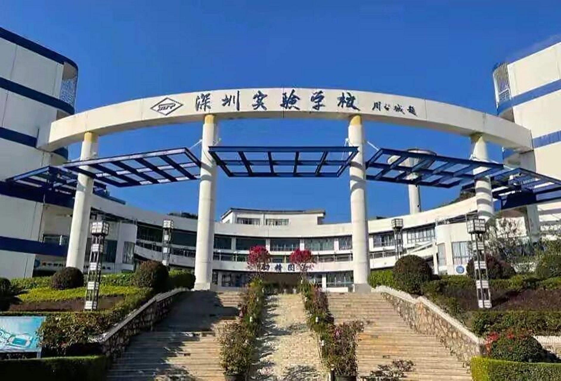 深圳实验学校张彤老师图片