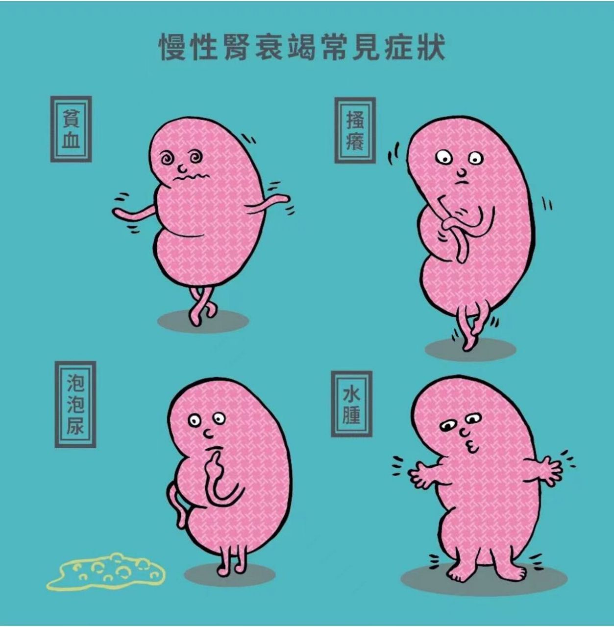 是因肾脏不能肃清体内多余的水分而招致液体滞留在体内组织间隙,早期