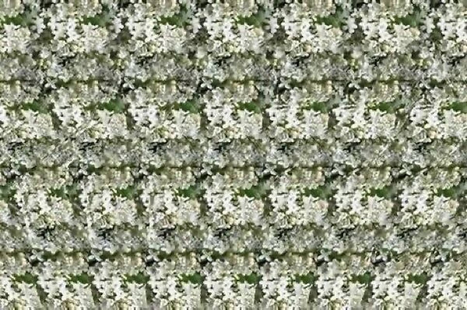 裸眼3d 隐藏图 有点费眼系列 裸眼3d 有点费眼系列 不会看的宝子们