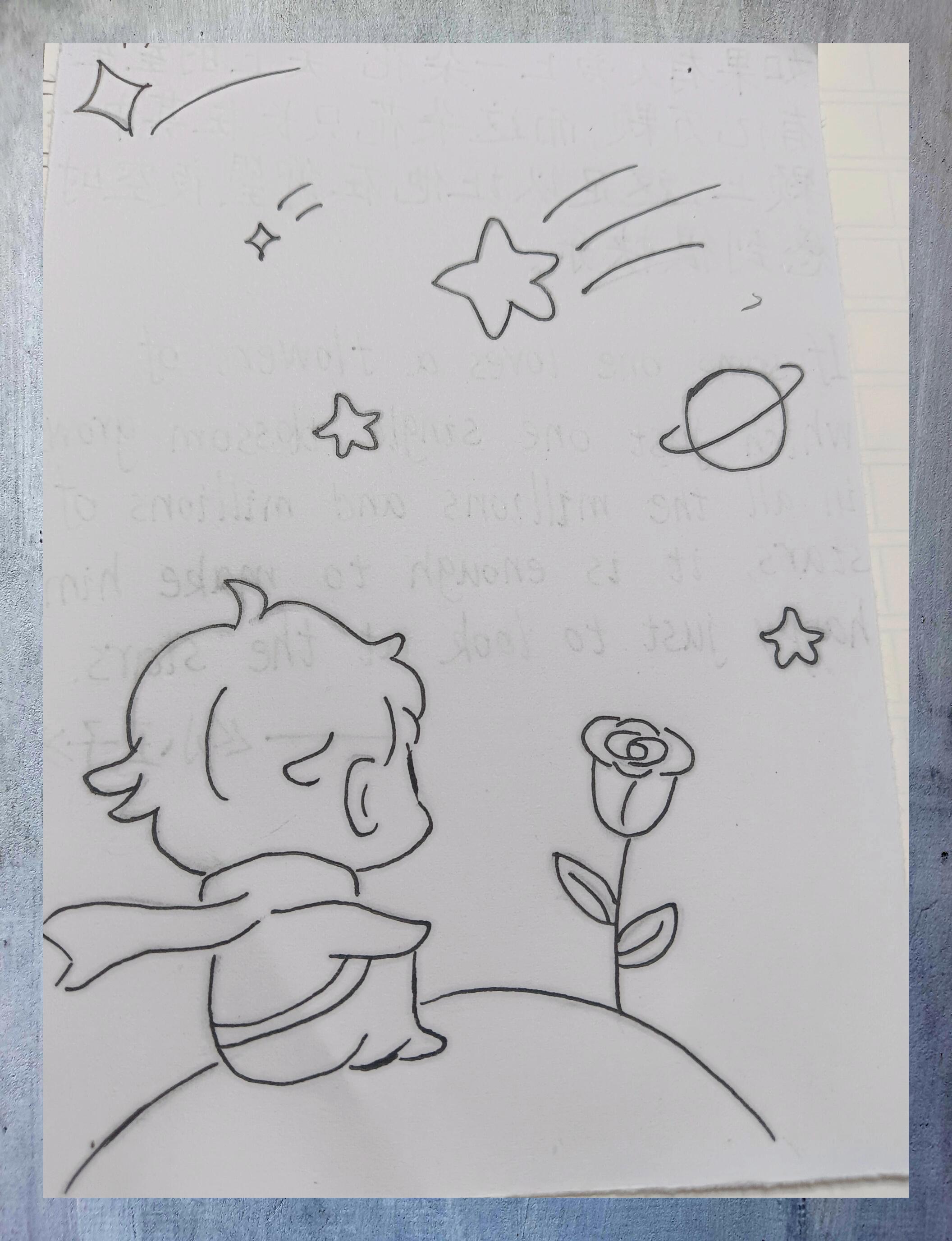 小王子书法练习