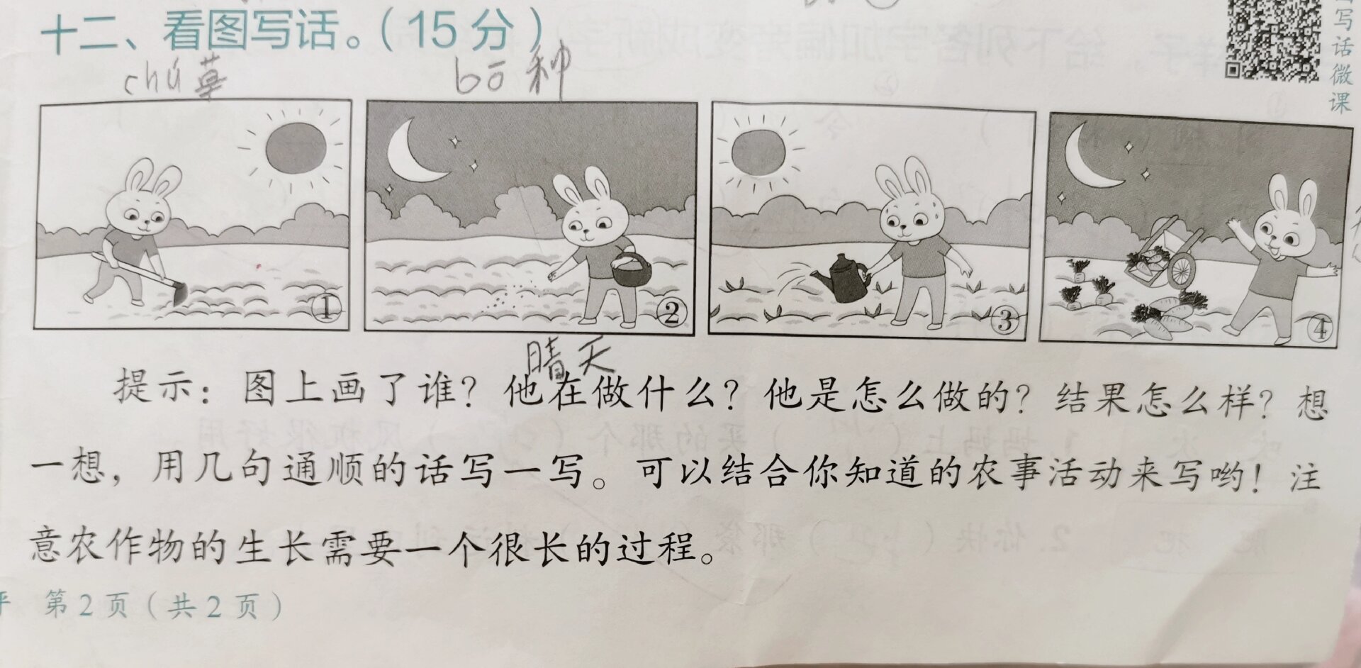 小兔子种萝卜的故事图片