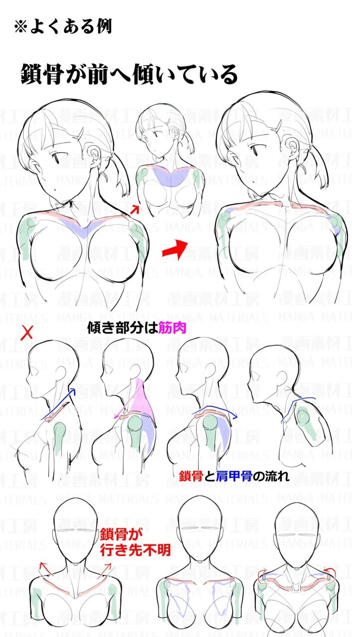 侧面锁骨怎么画图片