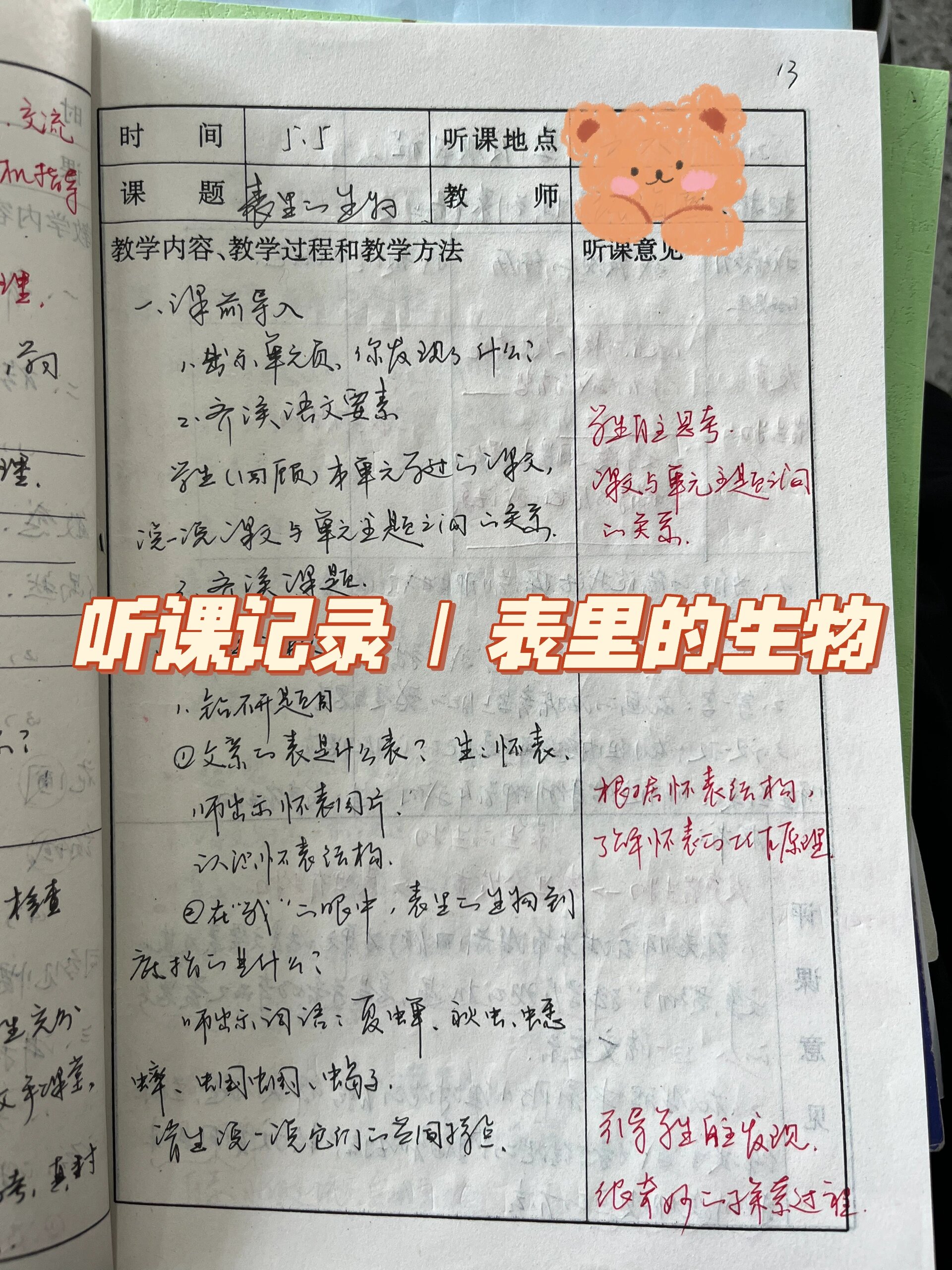 表里的生物主要内容图片