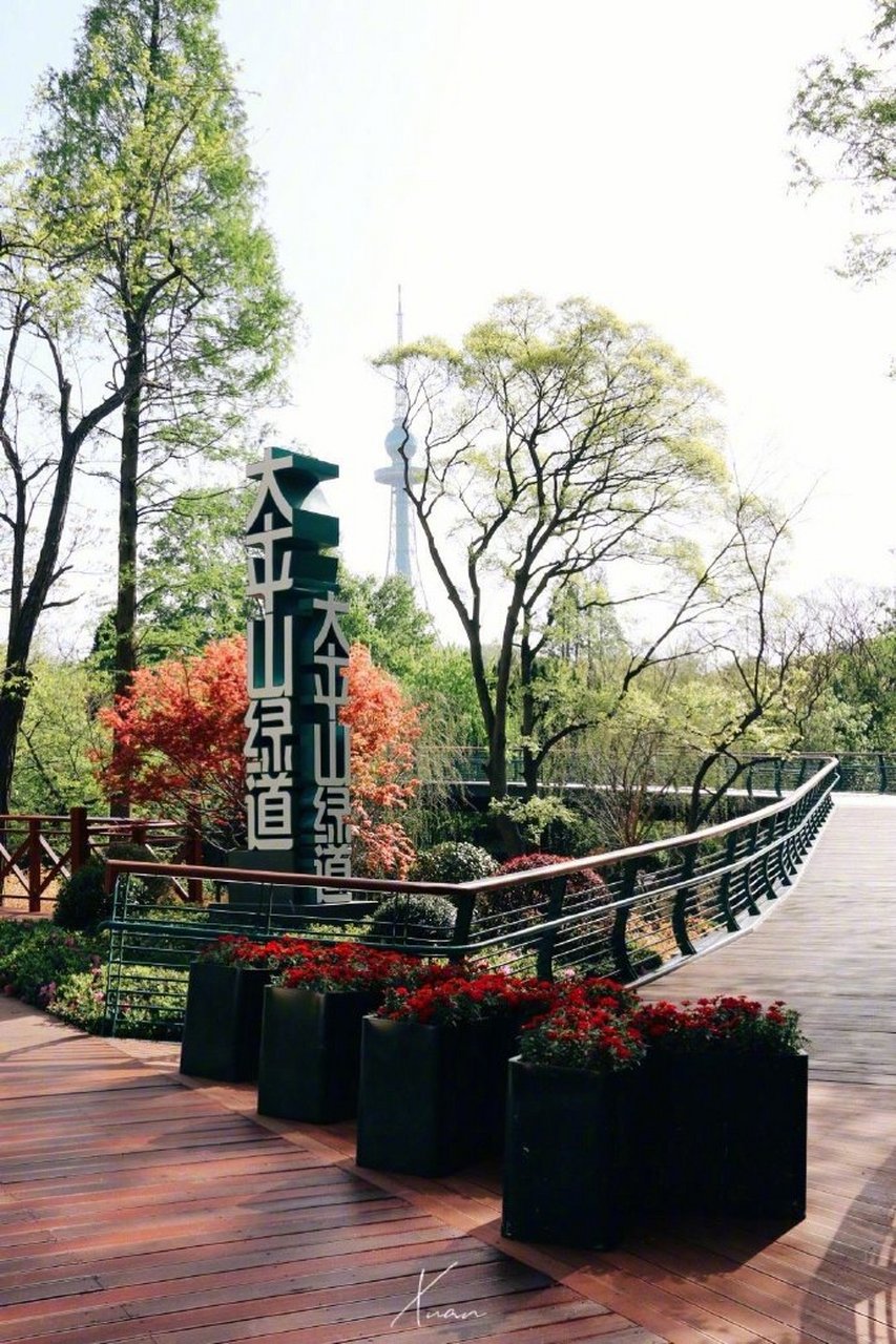 五一你就来山东# 全新开放的太平山绿道沿线鲜花簇拥,环境优美,路面