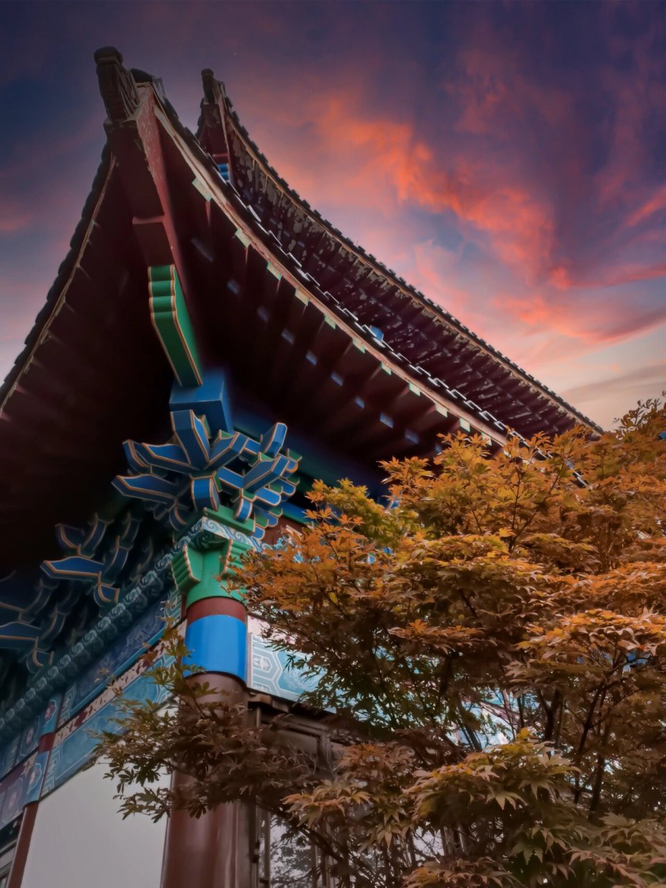 烟台暑假好去处|凤凰山公园凤凰阁 古人云:山有龙脉则名,地生凤势则兴