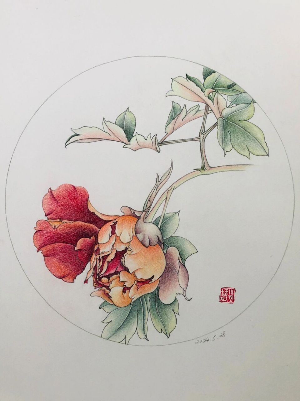 97编号552(临于北京樱花园)大红金背牡丹(局部); 97纸:获多福高白