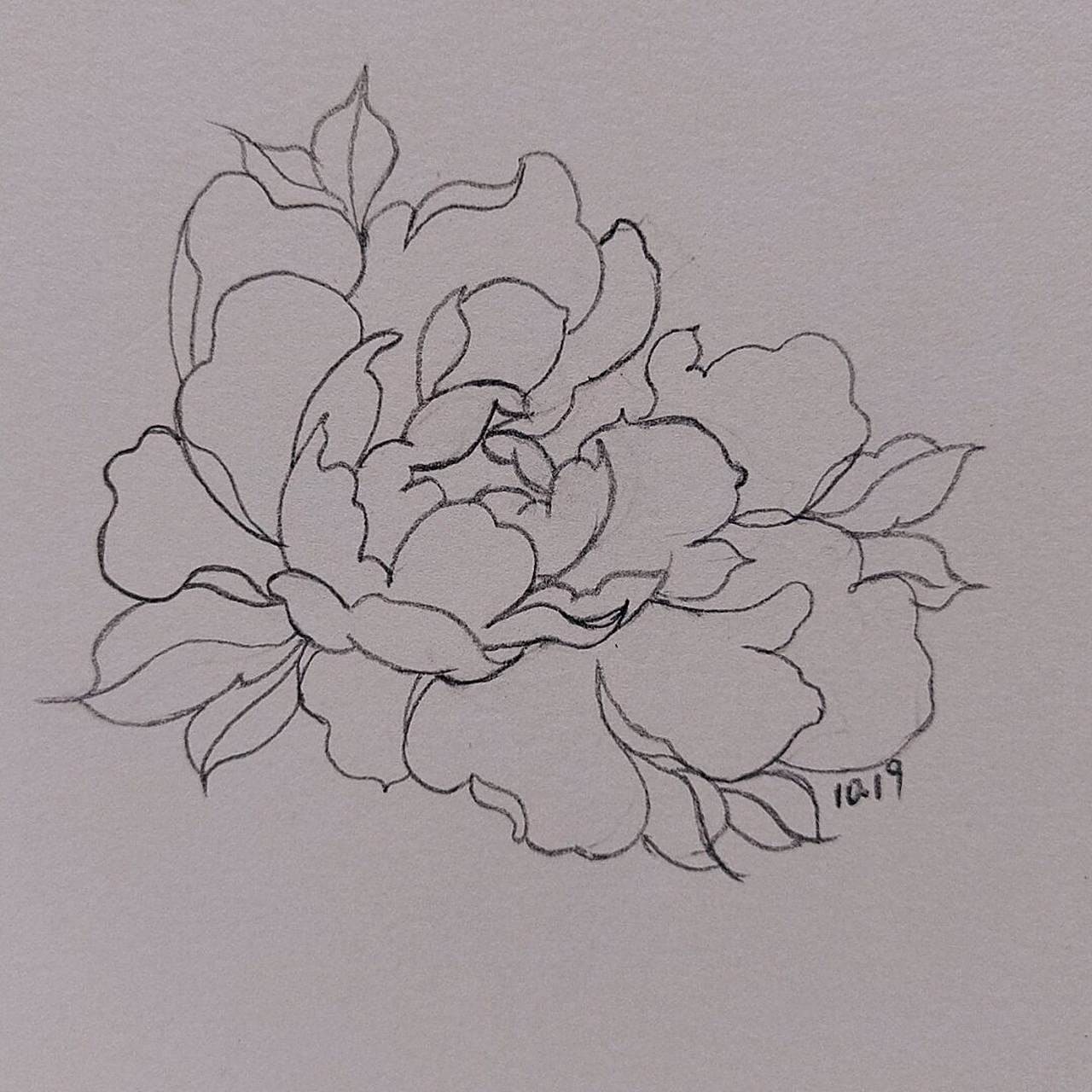 临摹至 #画画# #画画打卡# #简笔画教程# #画个简笔画# #画# #牡丹