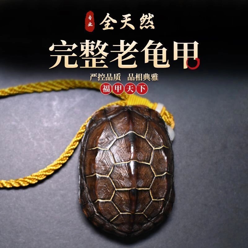 富甲一方 龟壳文玩