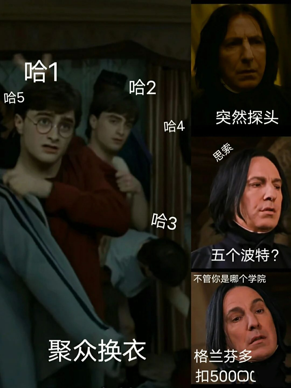 哈利波特沙雕图片表情包 一个哈利100分