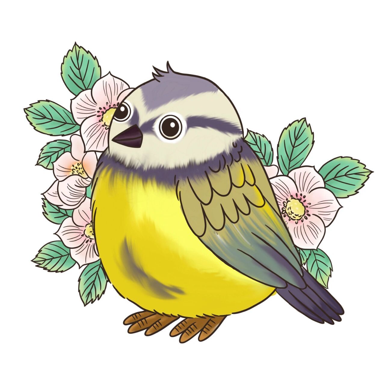 【插画素材】春季小鸟麻雀鸟类元素插画 96春眠不觉晓,处处闻啼鸟