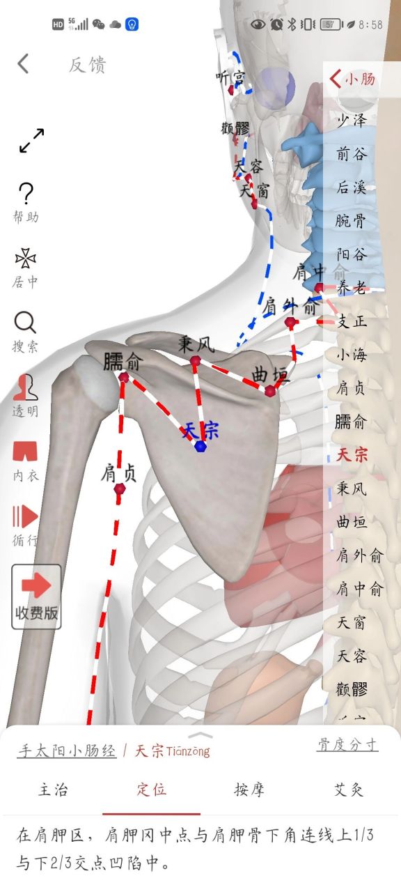 左肩胛骨有痣图解大全图片