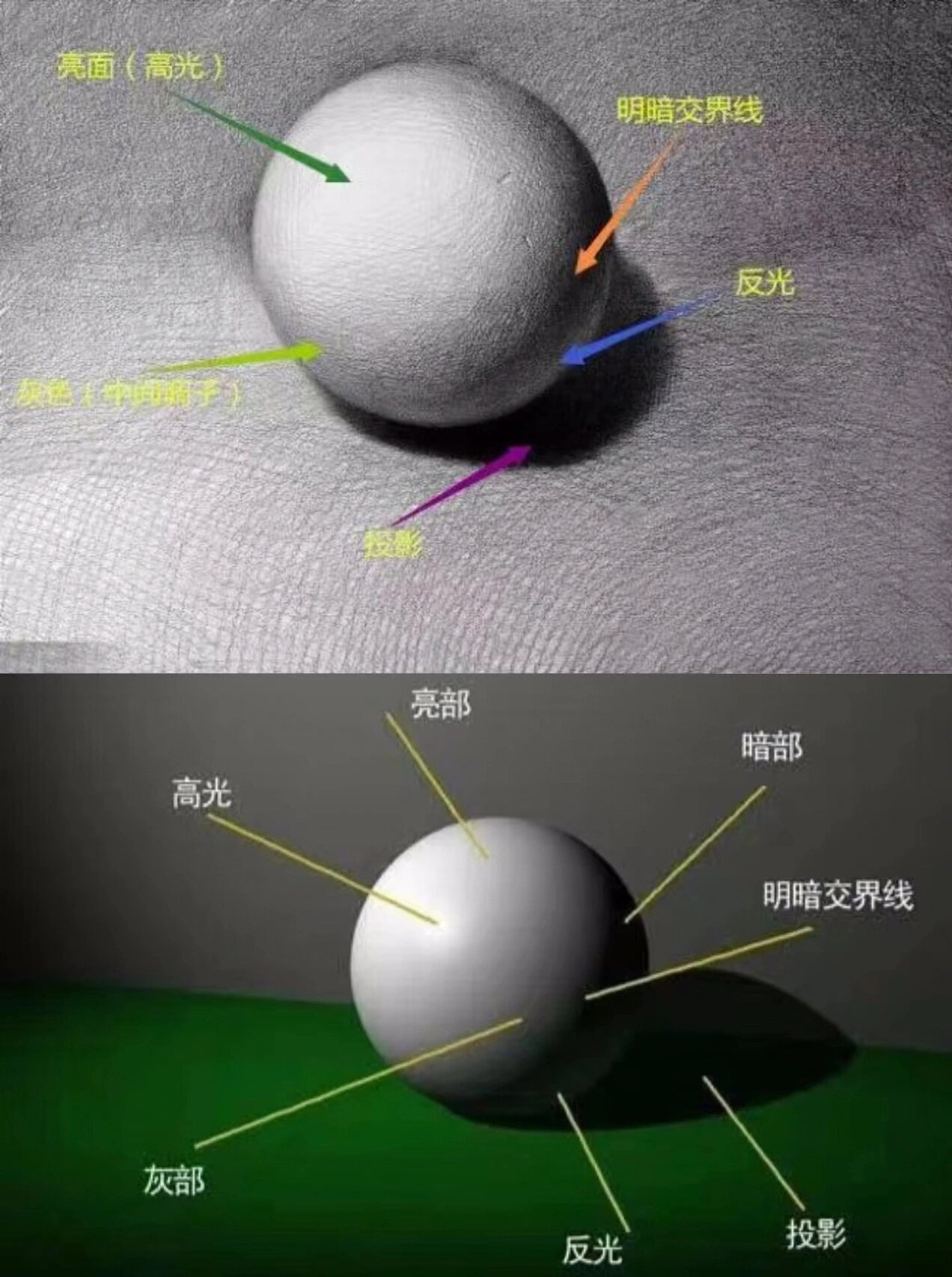 何为素描五大调子三大面两条线 学素描必须要懂的知识 赶快码起来 黑