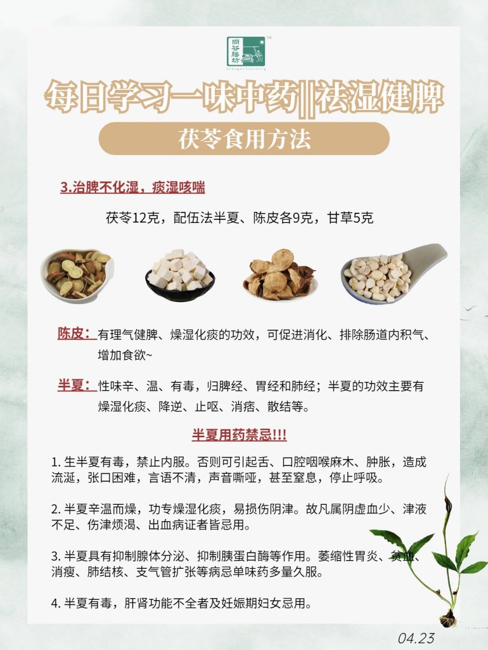 茯苓归经图片